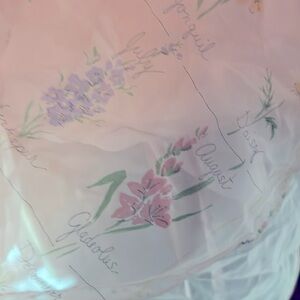 Vintage Sheer Apron